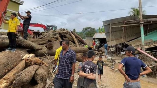 Walhi Sebut Banjir di Aceh Tenggara Bukti Kerusakan Hutan Makin Parah